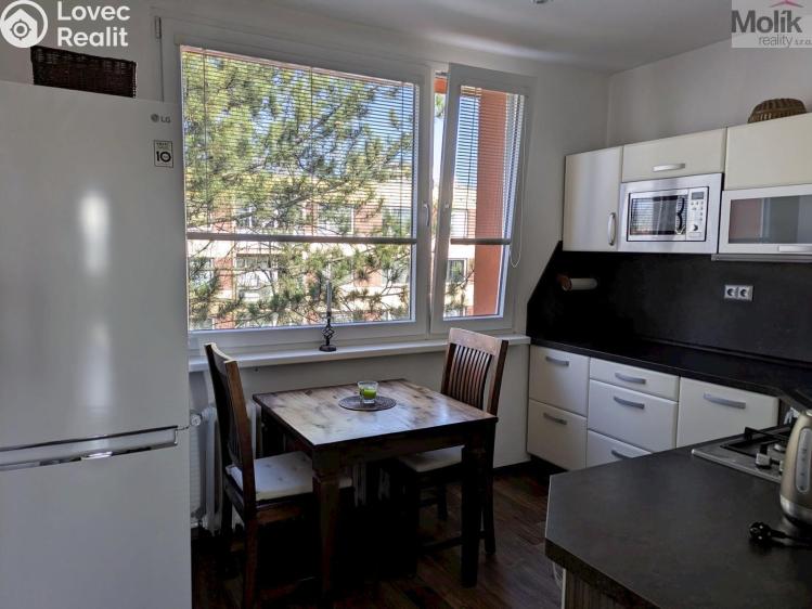 Prodej bytu 2+1 Duchcov, V Domkách 1326/56 č. 4