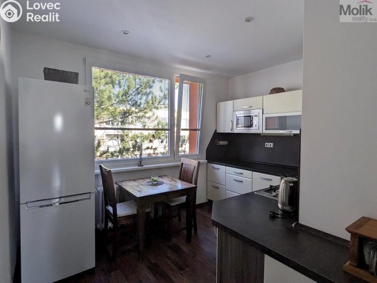 Prodej bytu 2+1 Duchcov, V Domkách 1326/56 č. 5