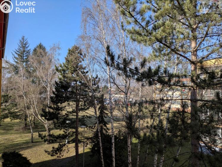 Prodej bytu 2+1 Duchcov, V Domkách 1326/56 č. 7