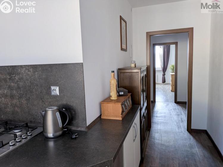 Prodej bytu 2+1 Duchcov, V Domkách 1326/56 č. 8
