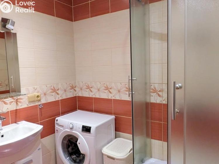 Prodej bytu 2+1 Duchcov, V Domkách 1326/56 č. 19