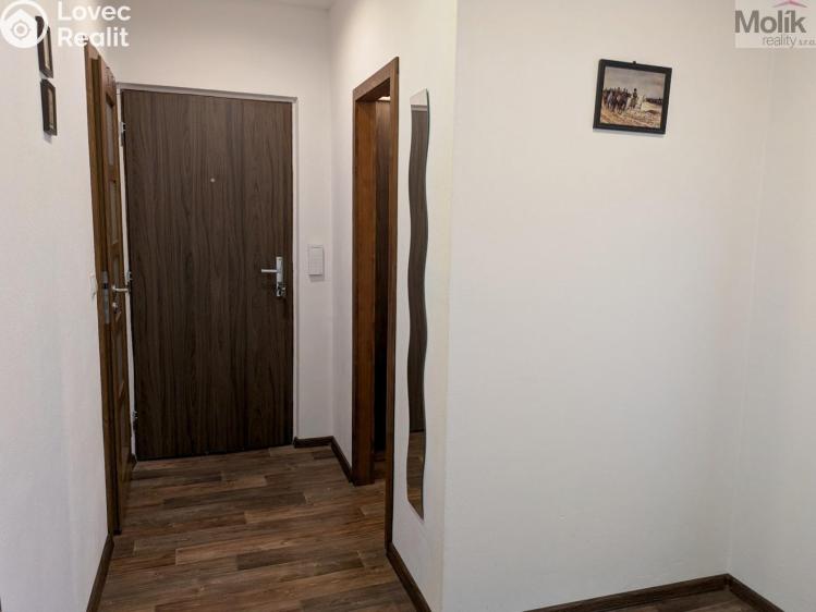 Prodej bytu 2+1 Duchcov, V Domkách 1326/56 č. 20