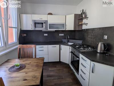 Prodej bytu 2+1 Duchcov, V Domkách č. 3