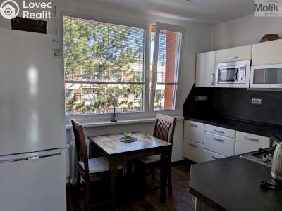 Prodej bytu 2+1 Duchcov, V Domkách č. 4