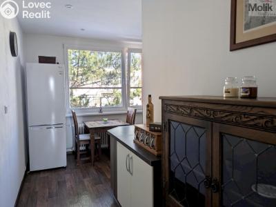 Prodej bytu 2+1 Duchcov, V Domkách č. 6