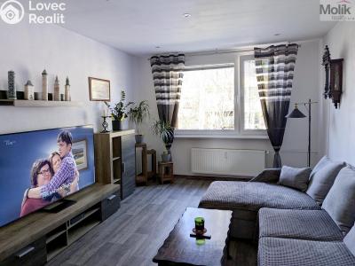 Prodej bytu 2+1 Duchcov, V Domkách č. 8