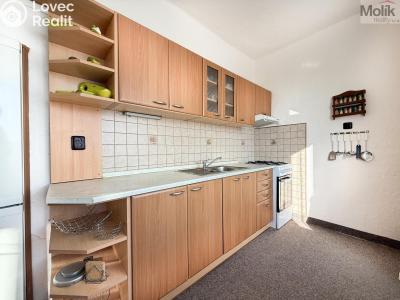 Rent apartment 2+1 Most, Brigádnická č. 2