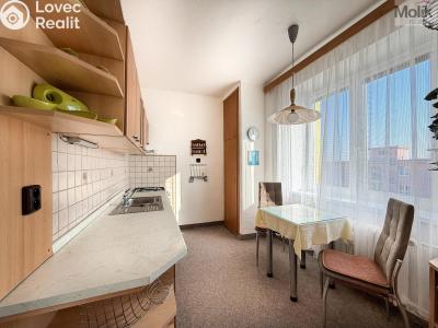 Rent apartment 2+1 Most, Brigádnická č. 6