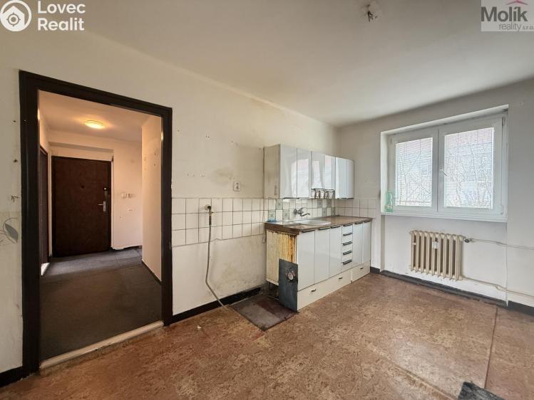 Prodej bytu 2+1 Meziboří, Okružní č. 6