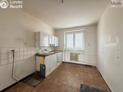 Prodej bytu 2+1 Meziboří, Okružní č. 3