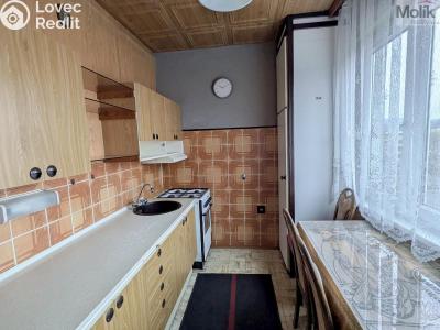 Prodej bytu 2+1 Bílina, M. Švabinského 660 č. 2