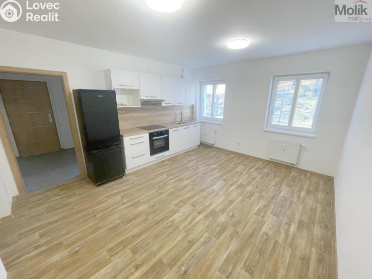 Rent apartment 2+KK Most, Hollarova č. 3