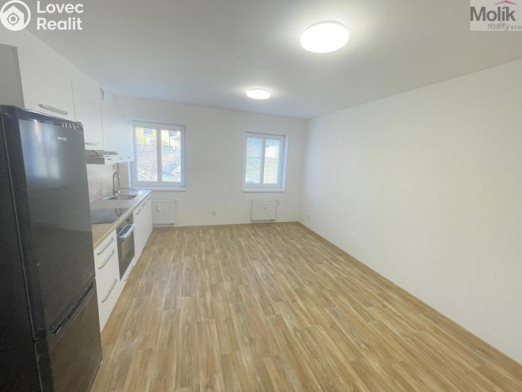 Rent apartment 2+KK Most, Hollarova č. 4