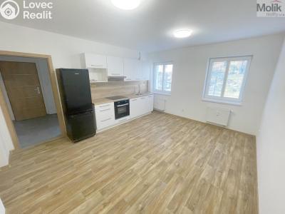 Rent apartment 2+KK Most, Hollarova č. 3