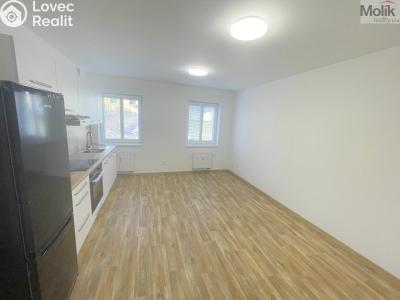 Rent apartment 2+KK Most, Hollarova č. 4