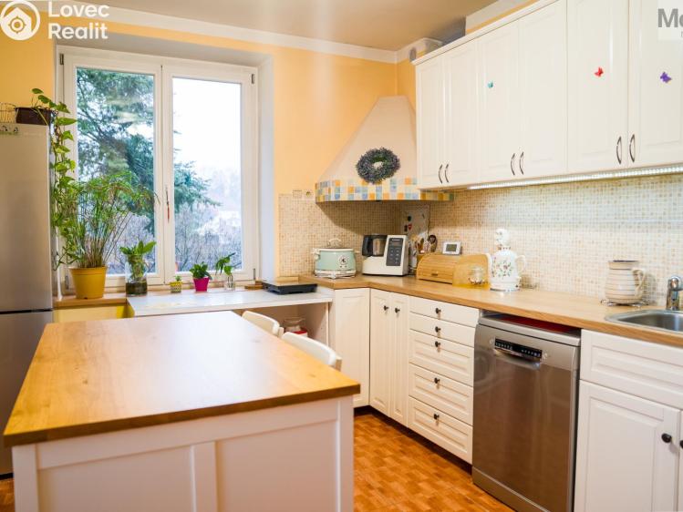 Sale multi-gen house Dubí, Ležáky č. 3