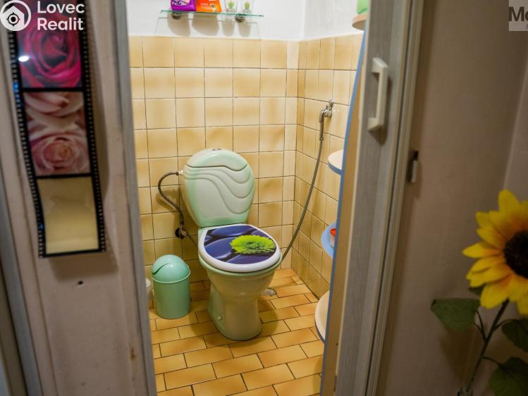 Sale multi-gen house Dubí, Ležáky č. 13