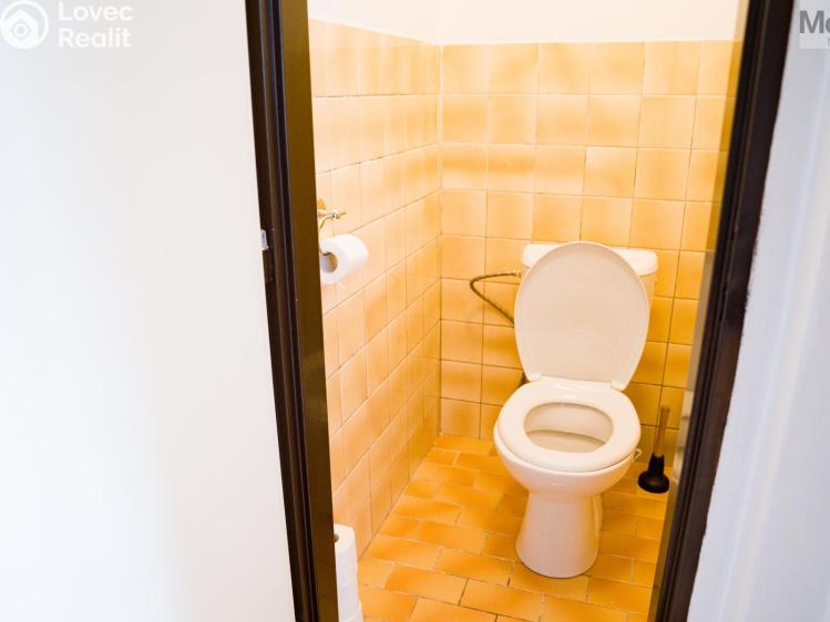 Sale multi-gen house Dubí, Ležáky č. 24