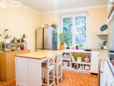 Sale multi-gen house Dubí, Ležáky č. 2