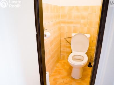 Prodej vícegeneračního domu Dubí, Ležáky č. 24