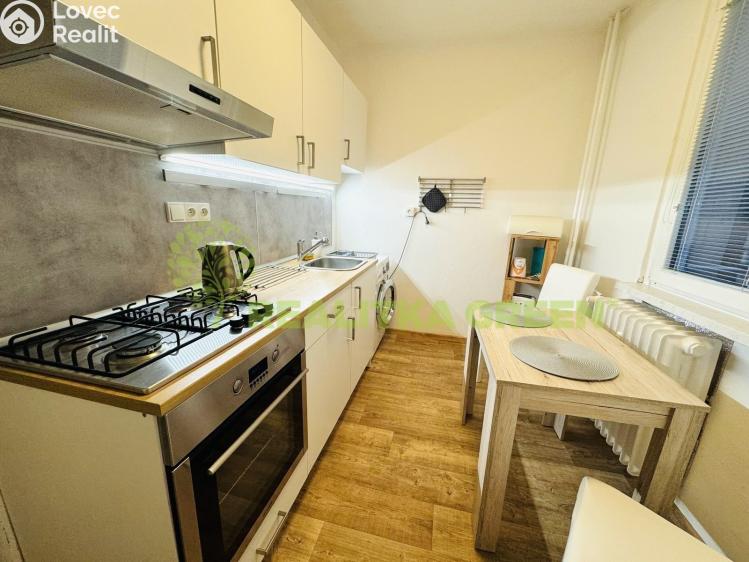 Rent apartment 1+1 Vsetín, Luh 1808 č. 1