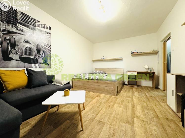 Rent apartment 1+1 Vsetín, Luh 1808 č. 7