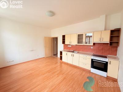 Rent apartment 1+KK České Budějovice, Klaricova č. 1
