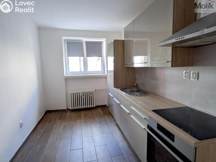 Rent apartment 2+1 Teplice, Duchcovská 2193/49 č. 3