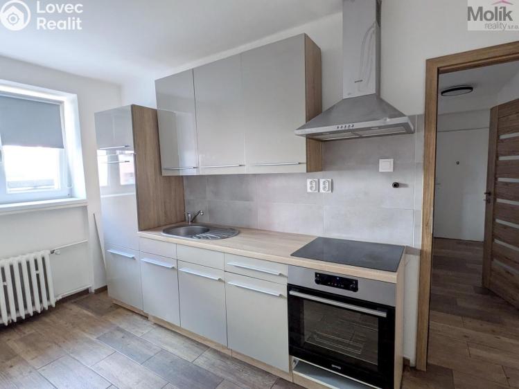 Rent apartment 2+1 Teplice, Duchcovská 2193/49 č. 4