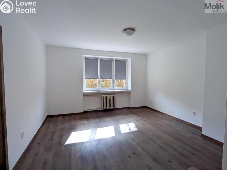 Rent apartment 2+1 Teplice, Duchcovská 2193/49 č. 6