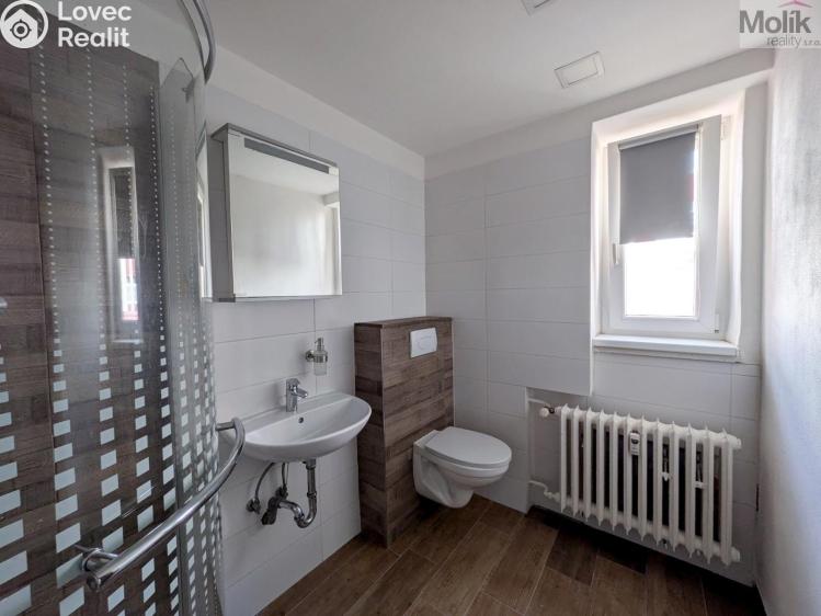 Rent apartment 2+1 Teplice, Duchcovská 2193/49 č. 12