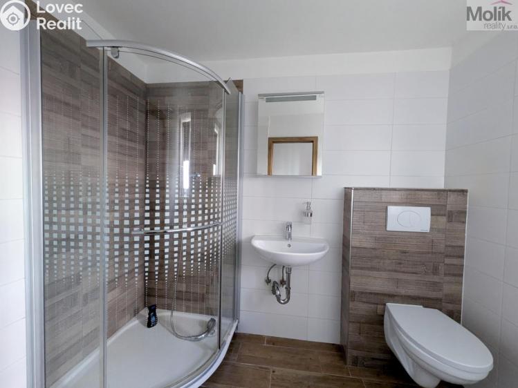 Rent apartment 2+1 Teplice, Duchcovská 2193/49 č. 13