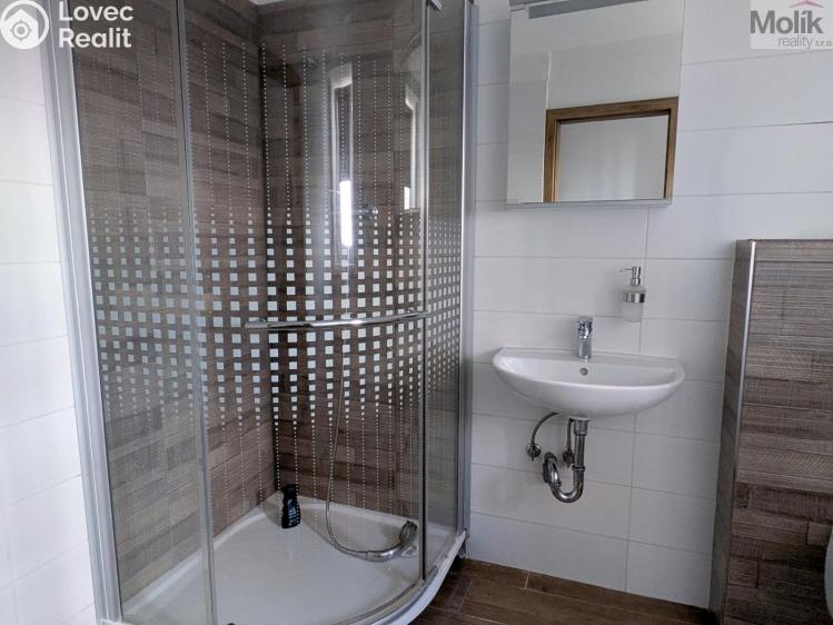 Rent apartment 2+1 Teplice, Duchcovská 2193/49 č. 14