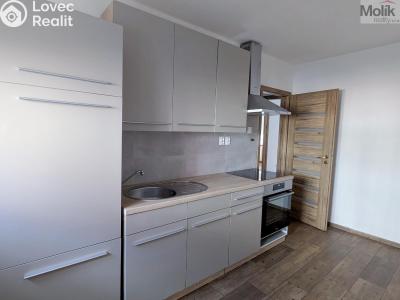 Rent apartment 2+1 Teplice, Duchcovská č. 2