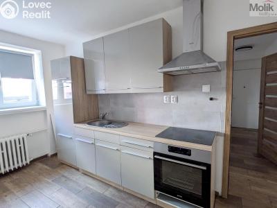 Rent apartment 2+1 Teplice, Duchcovská č. 4