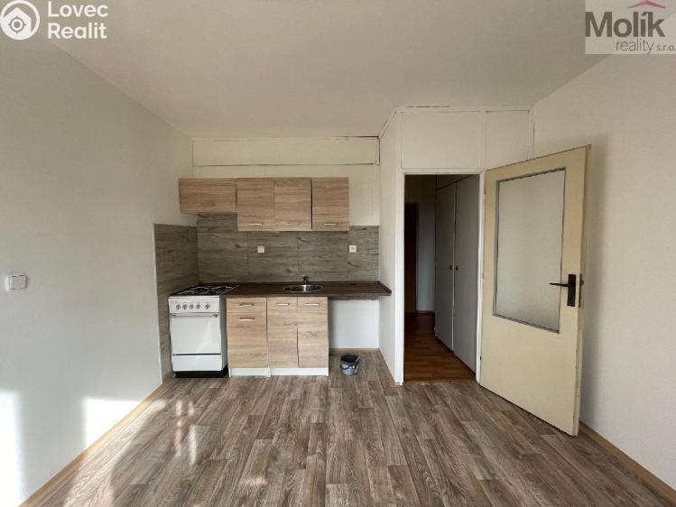 Rent apartment 1+1 Litvínov, B. Němcové č. 1
