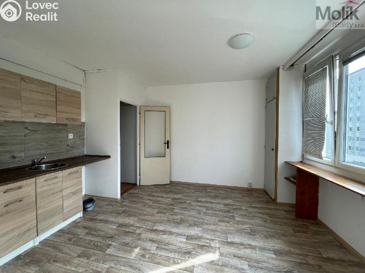 Rent apartment 1+1 Litvínov, B. Němcové č. 2