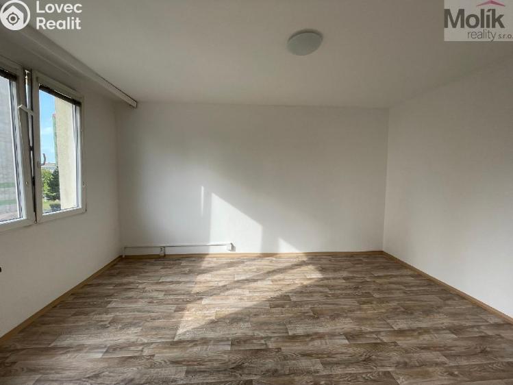 Rent apartment 1+1 Litvínov, B. Němcové č. 6