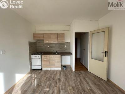 Rent apartment 1+1 Litvínov, B. Němcové č. 1