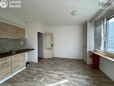 Rent apartment 1+1 Litvínov, B. Němcové č. 2