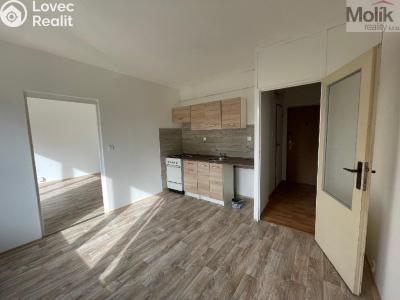 Rent apartment 1+1 Litvínov, B. Němcové č. 3