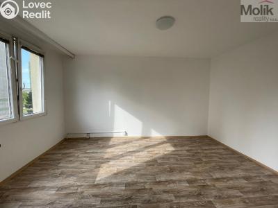 Rent apartment 1+1 Litvínov, B. Němcové č. 6