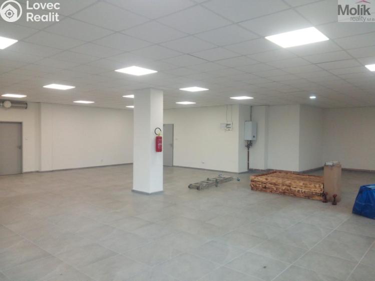 Rent commercial space Louny, Husova č. 1