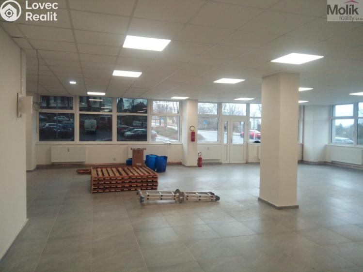 Rent commercial space Louny, Husova č. 3
