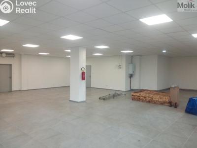 Rent commercial space Louny, Husova č. 1