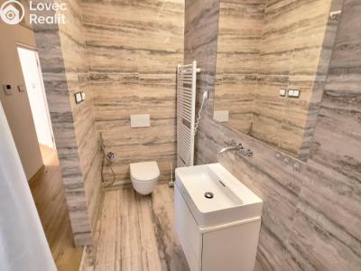 Sale family house Teplice, Laubeho náměstí č. 4