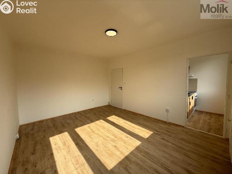 Rent apartment 1+1 Most, U Stadionu č. 3