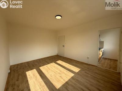 Rent apartment 1+1 Most, U Stadionu č. 3