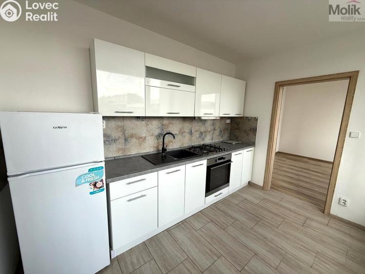 Rent apartment 3+1 Most, M. G. Dobnera č. 3