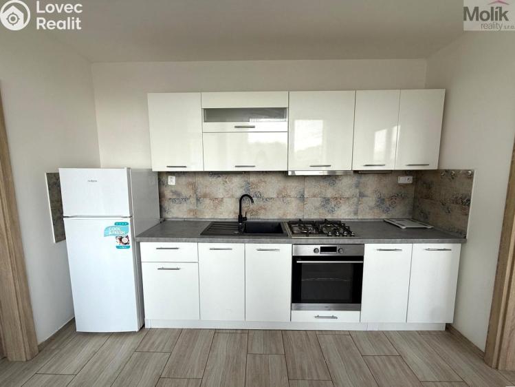 Rent apartment 3+1 Most, M. G. Dobnera č. 4